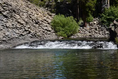 DSC_3620 (Large).JPG